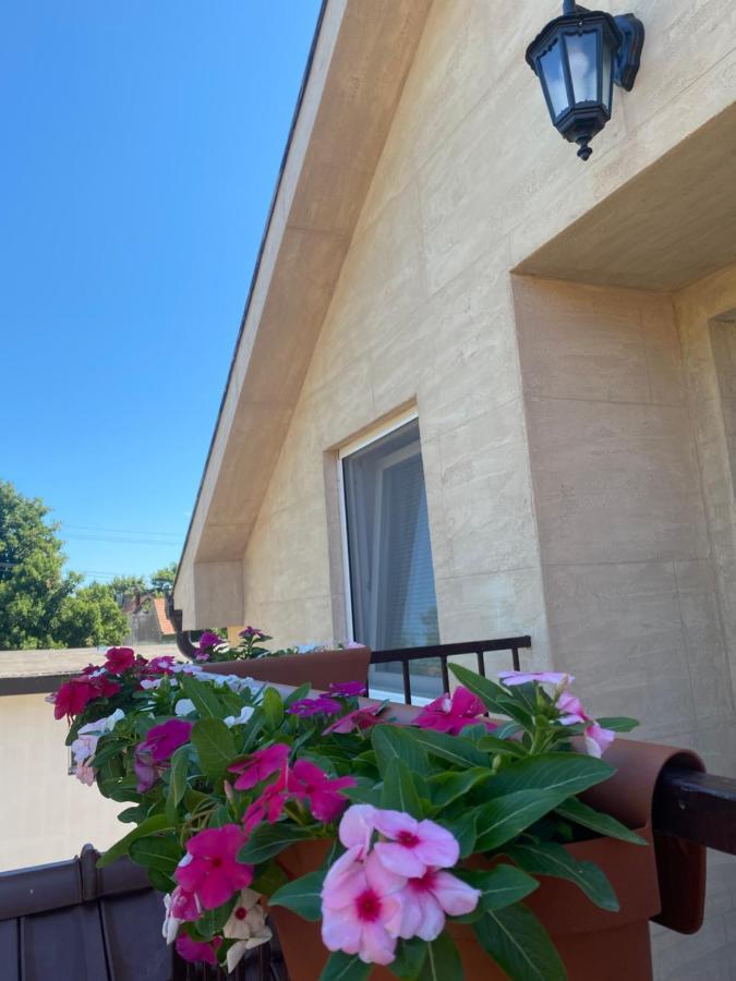 Omis Rooms Панчево Экстерьер фото